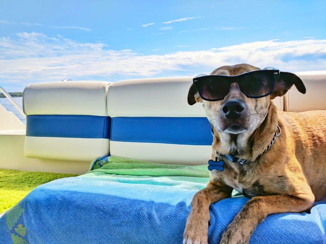 Foto di un cane con gli occhiali da sole sopra un materassino da mare sul mare